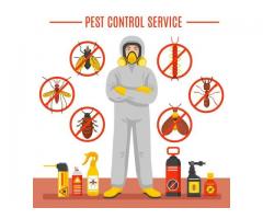 Effective Bed Bug Removal Fumigation Services in Lagos